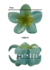 Broche Hawaiano Verde - comprar online