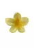 Broche Hawaiano Amarillo - comprar online