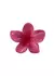 Broche Hawaiano Fucsia - comprar online