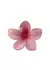 Broche Hawaiano Rosa - comprar online