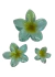 Broche Hawaiano Verde - tienda online