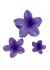 Broche Hawaiano Violeta - tienda online