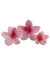 Broche Hawaiano Rosa - Accesorios CM