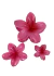 Broche Hawaiano Fucsia - tienda online