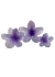 Broche Hawaiano Lila - Accesorios CM