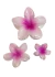 Broche Hawaiano Blanco - tienda online