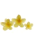 Broche Hawaiano Amarillo - Accesorios CM