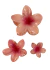 Broche Hawaiano Coral - tienda online