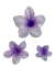 Broche Hawaiano Lila - tienda online