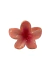 Broche Hawaiano Coral - comprar online