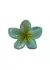 Broche Hawaiano Verde - comprar online