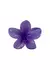 Broche Hawaiano Violeta - comprar online