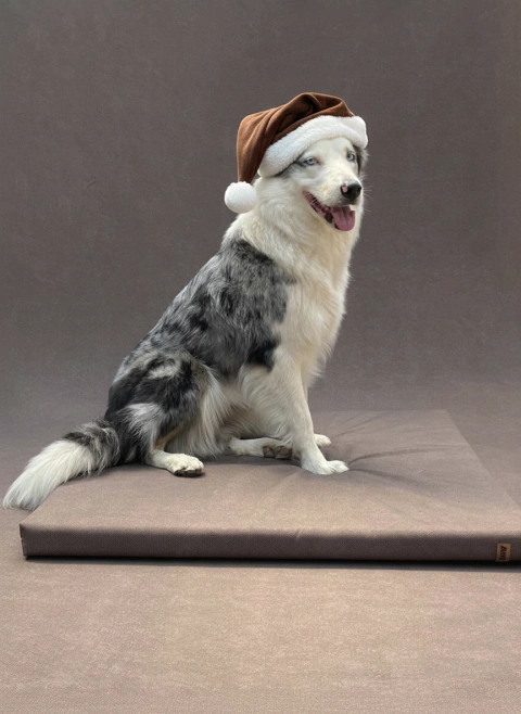 AMAYA - Marrom - comprar online