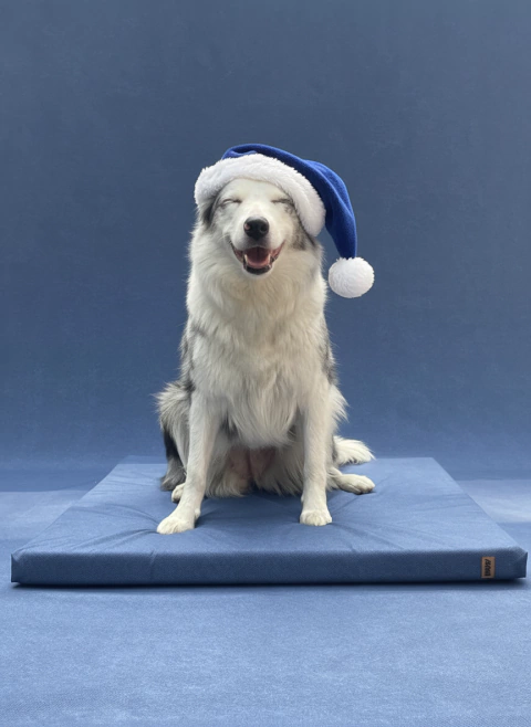 AMAYA - Azul - comprar online