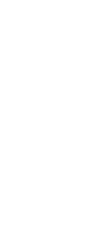 Tienda Mizu