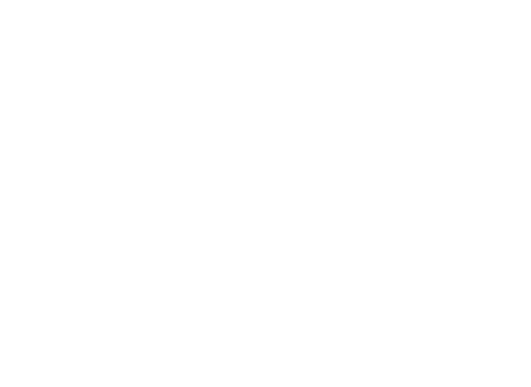 TM Socks