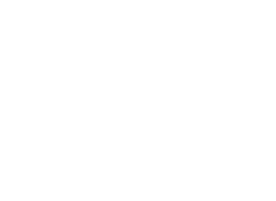 TM Socks