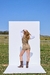 CML12 - CAMISA FEMININA ML ROMANTIC WESTERN - loja online