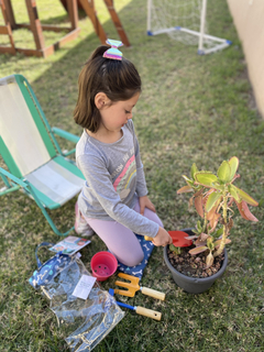 Kit de jardineria - tienda online