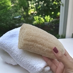 Esponja Vegetal Chica (Luffa) - comprar online