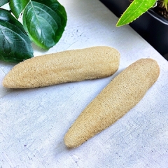 Esponja Vegetal Grande (Luffa) en internet