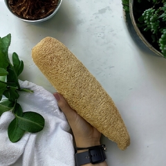 Esponja Vegetal Grande (Luffa) - comprar online