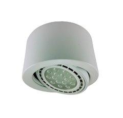 Spot Monovolumen Blanco Aplicar Movil Lámpara Ar111 Led Completo