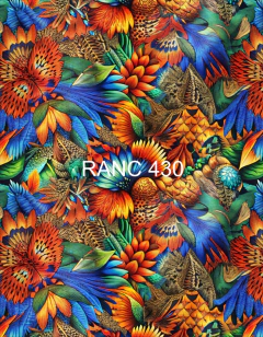 Maiô Recreio Ranc 430 na internet