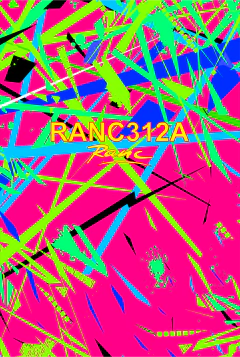 Top de sunquini Mira Ranc 312A - Ranc