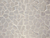 Molde para Revestimiento Piedra China - comprar online