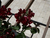 Molde para Travertino 40x40 - comprar online