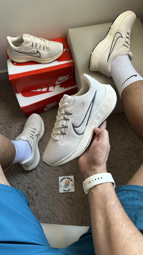 Nike Zoom Pegasus - comprar online