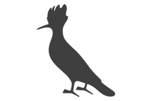 Marca 9 de Tênis Shop Belém