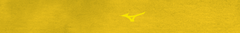 Banner da categoria Mizuno