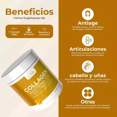 COLÁGENO BEAUTY SERIES PLUS SABOR NARANJA THE PROTEIN LAB en internet