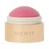 Flush Balm Cheek Color Merit