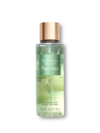 Body Splash Pear Glacé Victoria´s Secret