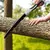 CutPro™ - Sierra plegable SK5 de acero alemán - AmbarStore