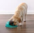 DOG SPIN N´ EAT - Alimentador - Nina Ottosson - comprar online