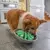 OH Fun Feeder Wobble Slo Bowl - Outward Hound - loja online