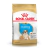 Royal Canin Bulldog Puppy