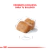 Royal Canin Bulldog Puppy - Pet Food Express