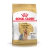 Royal Canin Yorkshire Terrier Adulto