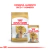 Royal Canin Yorkshire Terrier Adulto - tienda online
