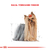 Royal Canin Yorkshire Terrier Adulto