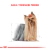 Royal Canin Yorkshire Terrier Adulto