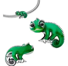 Charm Pascal en internet