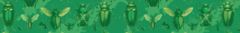 Banner da categoria Entomologia
