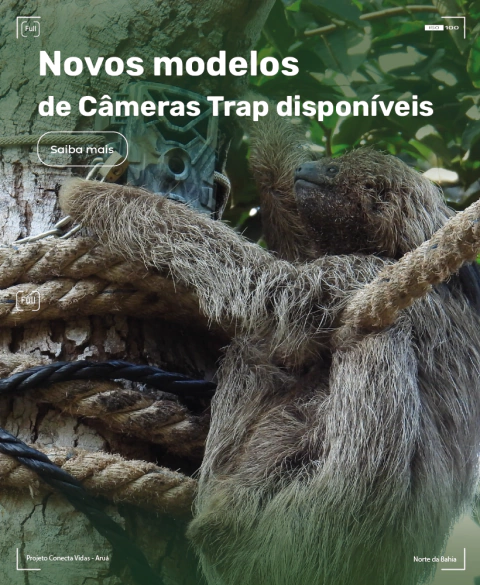 Carrossel 1