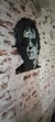 ROSTROS fantasy... ESPEJOS Y AZULEJOS NEGROS